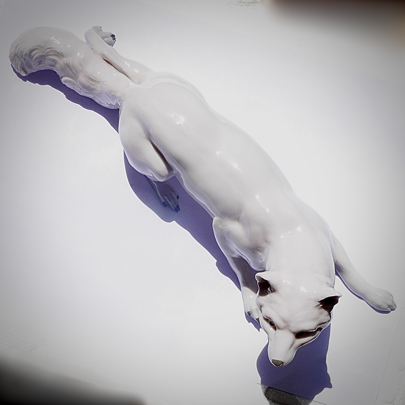 White Porcelain Wolf or Fox with Gray Finish, E. & A. Müller, Schwarza/Saale, Germany, late 19th, early 20th century - 3