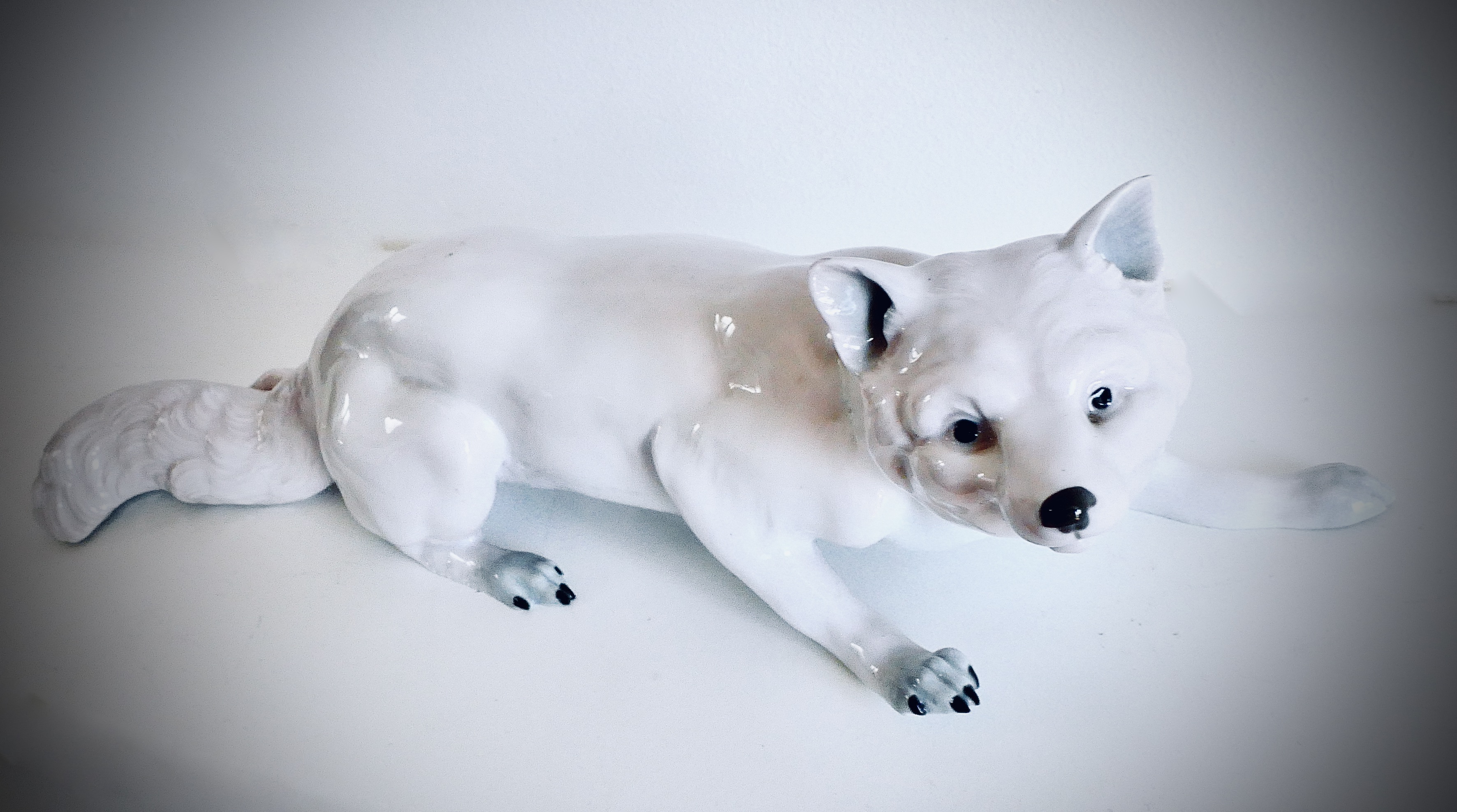 White Porcelain Wolf or Fox with Gray Finish, E. & A. Müller, Schwarza/Saale, Germany, late 19th, early 20th century - 5